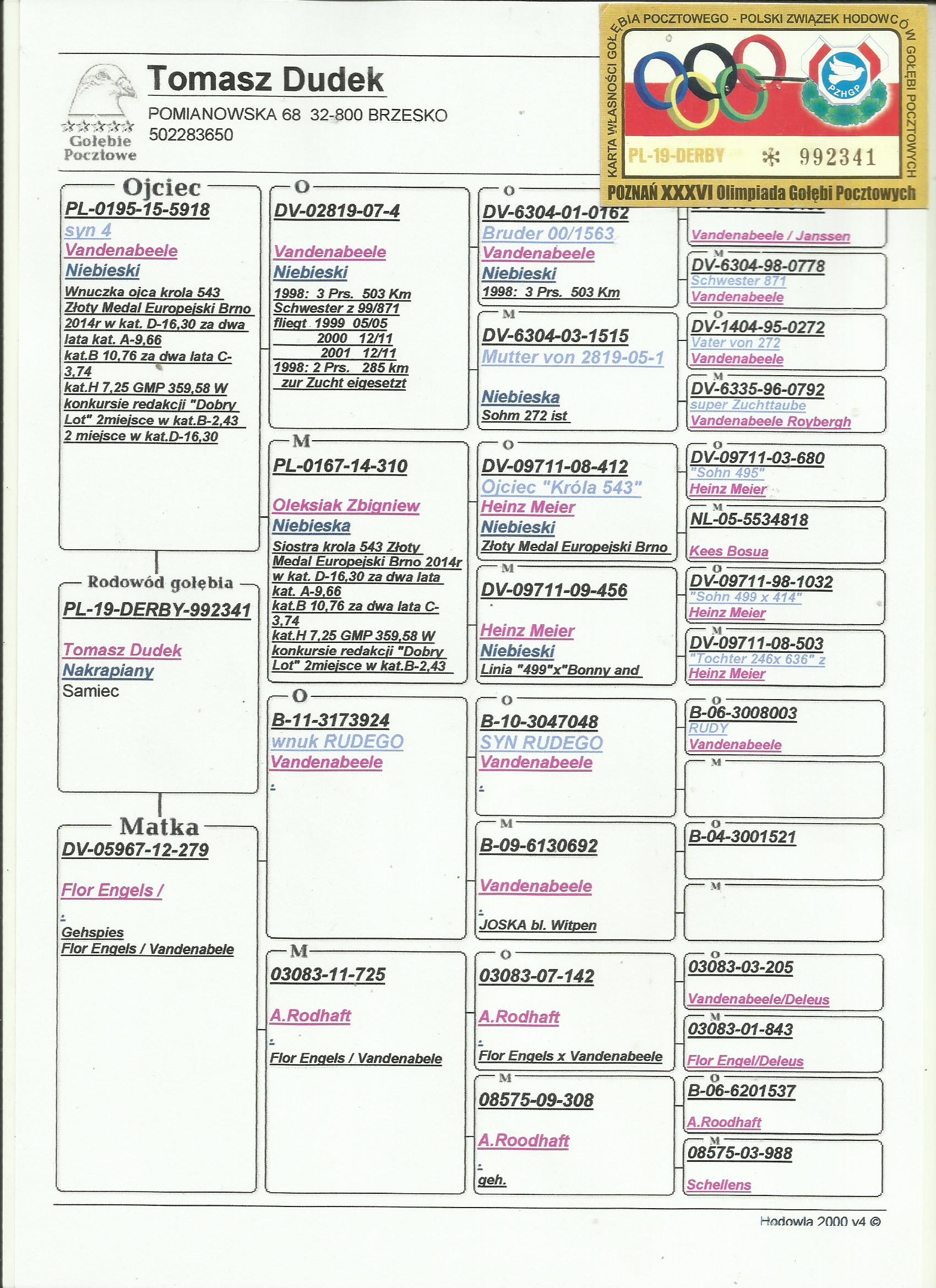 PL-19-DERBY -992341 - Vandenabeele, Flor Engels, linia Rudego