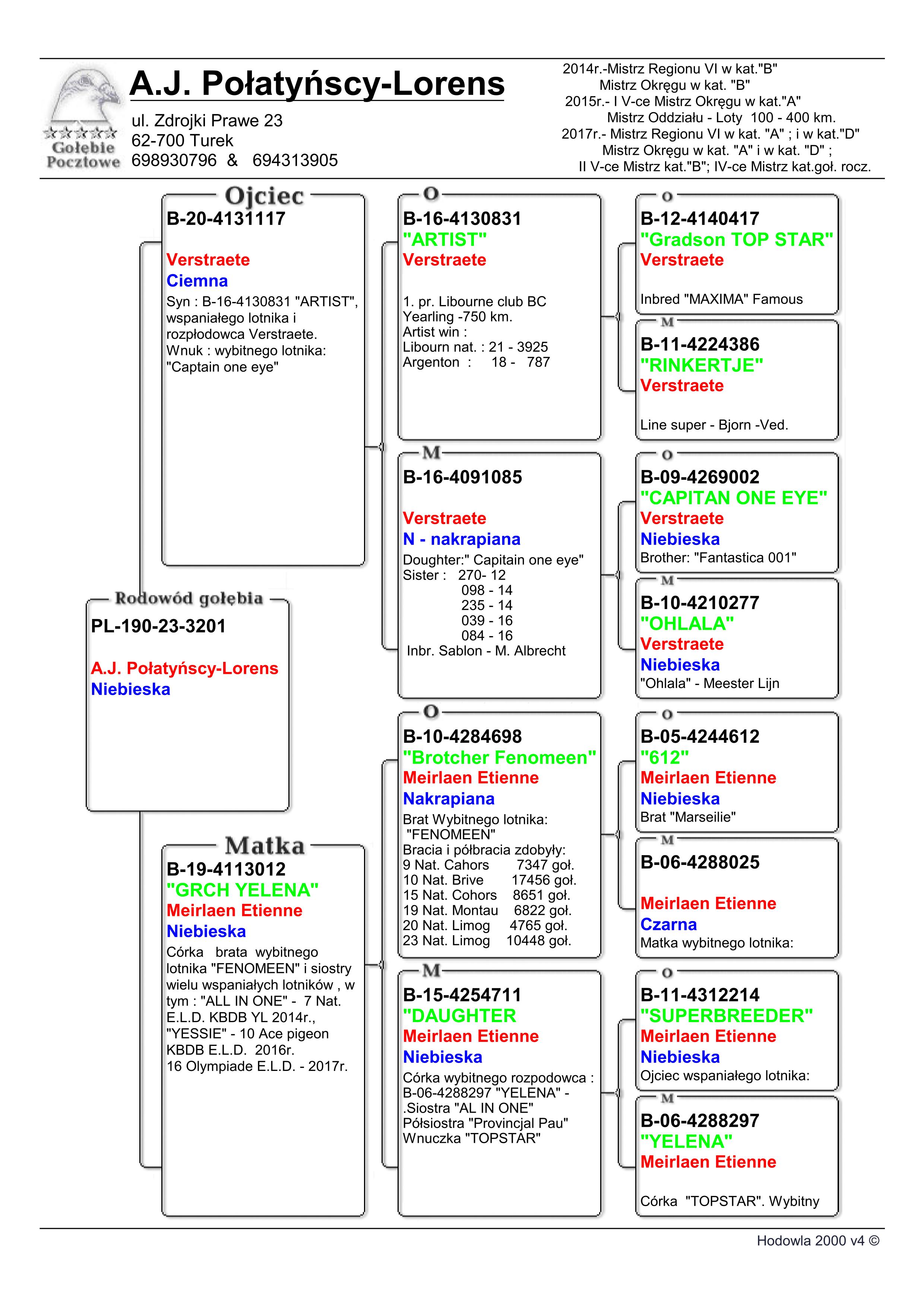 pl-190-23-3201-profesjonalny-portal-aukcyjny-go-bi-pocztowych
