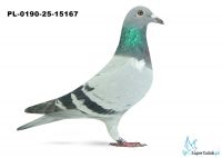 PL-190-25-15167