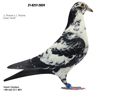 PL-21-0217-2824 J.THONE LINIA AVRIL