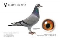 PL-231-25-2012: Marek Pachut, 32. Lotnik, m in 5m