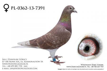 PL-362-13-7391 - całkowita likwidacja hodowli