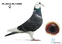 PL-413-25-13006 Grzegorz Pawłowski - 24 z finału