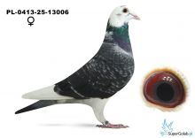 PL-413-25-13006 Grzegorz Pawłowski - 24 z finału