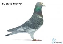 PL-DE-19-1054751