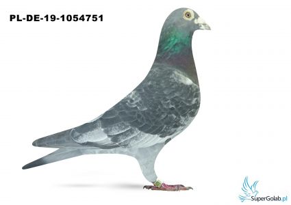 PL-DE-19-1054751