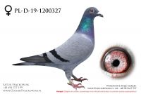 PL-DE-19-1200327 - samiczka