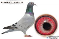 PL-DE-19-881229