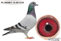 PL-DE-19-881236