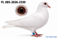 PL085-2026-2330