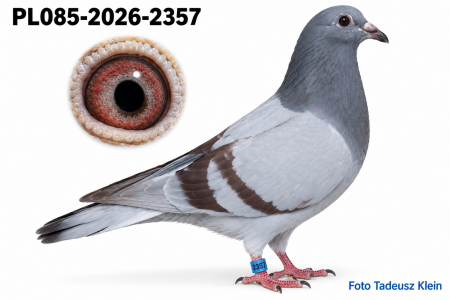 PL085-2026-2357