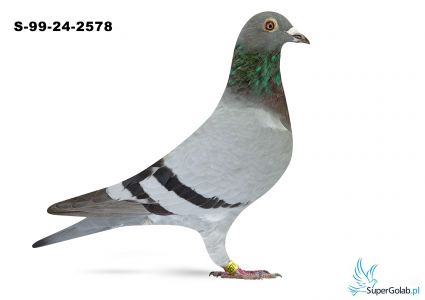 S-99-24-2578 –Bieniek Team