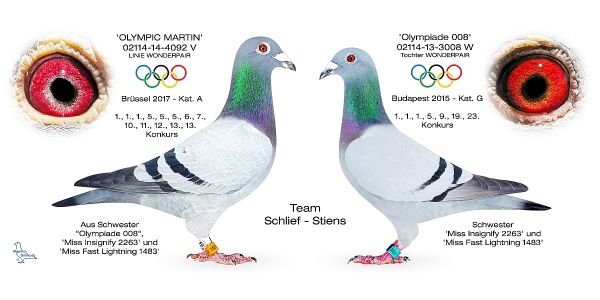 SCHLIEF STIENS CZ. III WIELKI FINAŁ – OLIMPIJSKA AUKCJA