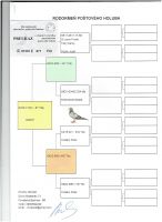 SK-01301-25-871-ADOLF OLR Talent Quatro Šternberk 2025 -49 AS 3 lot 200 km - 46 miejsce Finał 510 km 83 miejsce