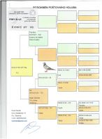 SK-01301-25-877-ALI OLR Talent Quatro Šternberk 2025 - LOT NARODOWY BRUKSELA 2025 - 1 GOŁĄB 1033 km