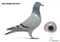 SK-02902-25-814 inbred DAKAR