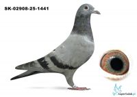 SK-02908-25-1441 inbred MERCEDES 