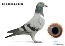 SK-02908-25-1492  inbred DAKAR