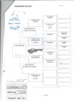 SK-03102-25-127 PETO OLR Talent Quatro Šternberk 2025 LOT nr 1 - 124 km 6 miejsce na 1762 gołębie