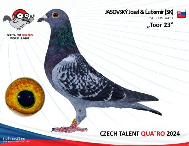 SK-0999-24-4423 TALENT QUATRO STERNBERK 2024 JEDEN Z NAJBARDZIEJ WYMAGAJĄCYCH WG EUROPY gołąb zaliczył 2 loty z ponad 500 km