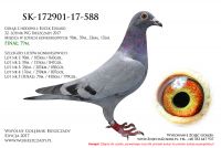 SK-172901-588