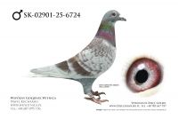 SK-2502901-6724: Bozena Rozbicka