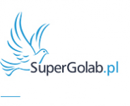 SuperGołab