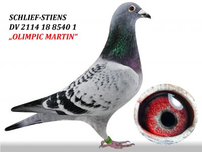 Sławomir Kozłowski II