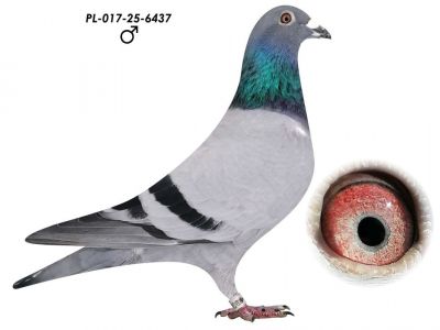 Team Trofa, Olympiade 003 Nieuwe Olympiade