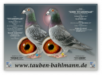 Thomas Bahlmann