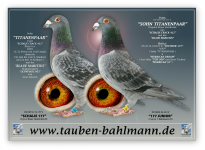 Thomas Bahlmann