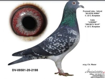 Unikat 4x Kleine Dirk!!!