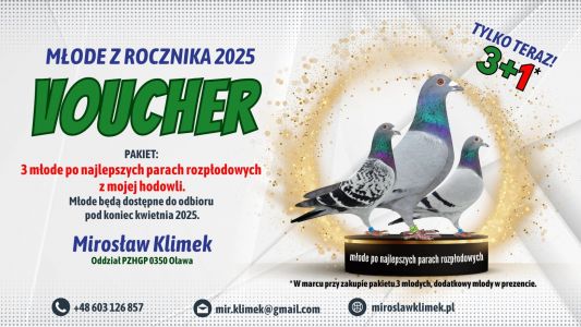 VOUCHER 1 - Pakiet 3 młode +1 gratis z najlepszych par rozpłodowych 2025 - odbiór koniec kwietnia 2025!!!