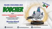 VOUCHER 6 - Pakiet 3 młode +1 gratis z najlepszych par rozpłodowych 2025 - odbiór koniec kwietnia 2025!!!