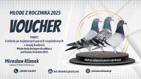 VOUCHER nr 2– Pakiet 3 szt gołębi młodych 2023  po najlepszych parach rozpłodowych !!! Odbiór koniec kwietnia 2023