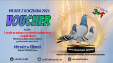 Voucher nr 5 -   Pakiet 3 młode + 1 gratis z rocznika 2026