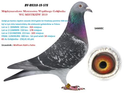 WG MISTRZÓW 2019 -  DV-09318-19-578 - 14 MIEJSCE FINAŁ