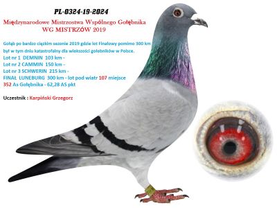 WG MISTRZÓW 2019 -  PL-0324-19-2024