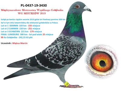 WG MISTRZÓW 2019 - PL-0437-19-3430 - 25 MIEJSCE FINAŁ