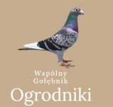 WG Ogrodniki