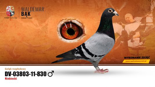 Wnuk Klamper, jego córka CRISTAL zaliczyła wg Algarve