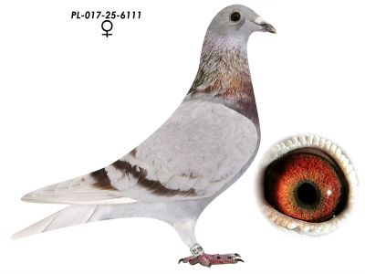 Wnuk x Wnuczka 808 K. Paszek