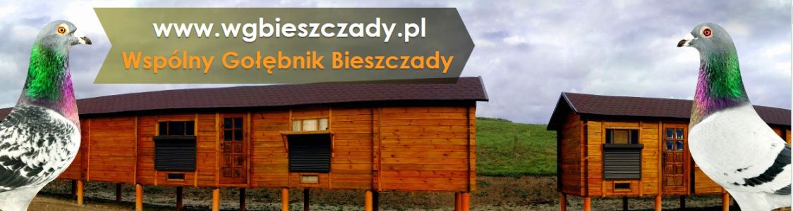 Wspólny Gołębnik Bieszczady cz. IV