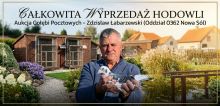 Zdzisław Łabarzewski