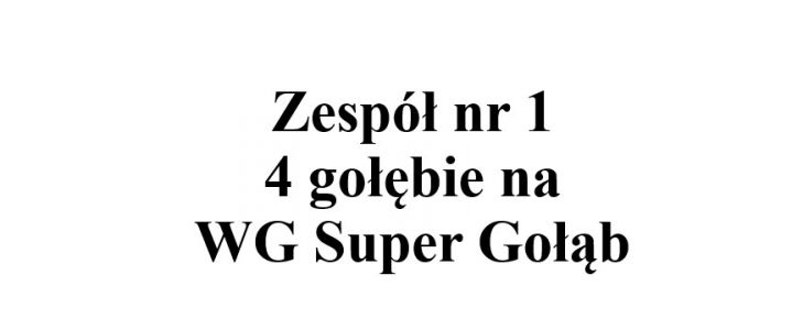 Zespół nr 1 - 4 gołębie na WG Super Gołąb