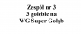 Zespół nr 3 - 3 gołębie na WG Super Gołąb