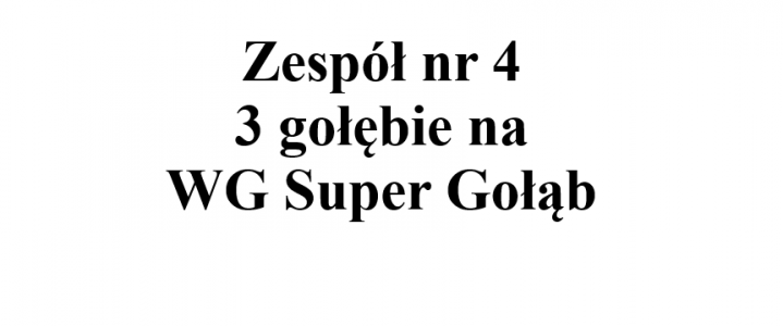 Zespół nr 4 - 3 gołębie na WG Super Gołąb