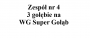 Zespół nr 4 - 3 gołębie na WG Super Gołąb