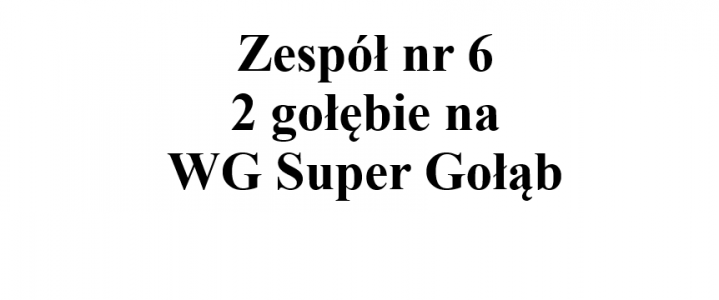 Zespół nr 6 - 2 gołębie na WG Super Gołąb