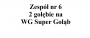 Zespół nr 6 - 2 gołębie na WG Super Gołąb